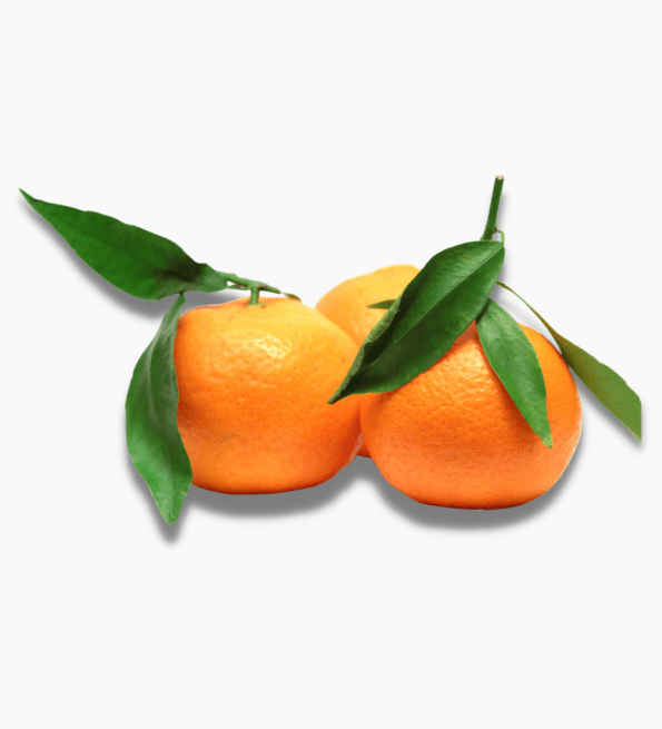 clémentine