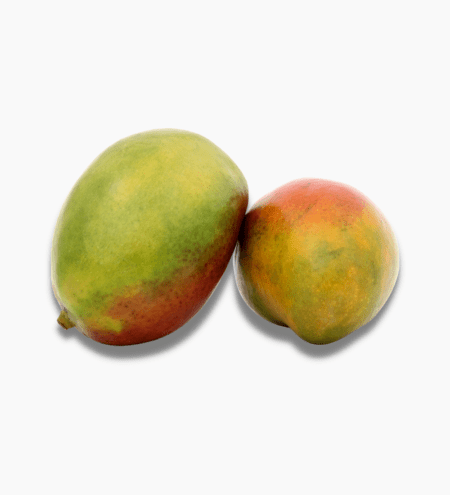 mangue_rouge