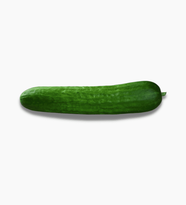 concombre