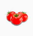 tomate_serre